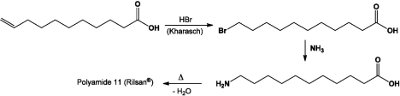 Fig. 2 : Synthèse du Rilsan