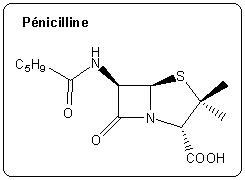 Structure de la pénicilline.