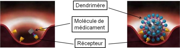 Fig. 6 : Comparaison de la reconnaissance entre les récepteurs d’un virus et une molécule de médicament (à gauche) et un dendrimère (à droite).