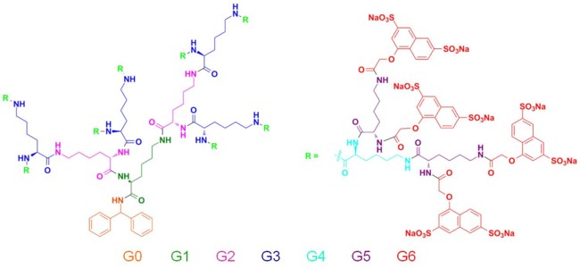 Fig. 7 : Structure du dendrimère polysulfonate entrant dans la composition de Vivagel®