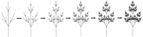 Fig. 1 : L’arbre, un exemple de structure dendritique.