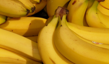 visuels bananes