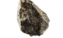 Photo d'une météorite de type chondrite