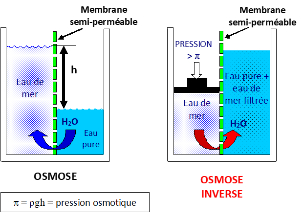 Osmose inverse : définition et explications