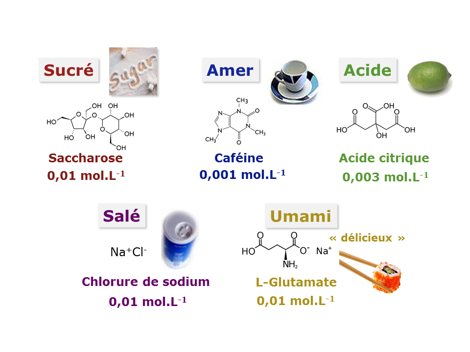 Le chlorure de sodium est un composé chimique ionique - [1ère