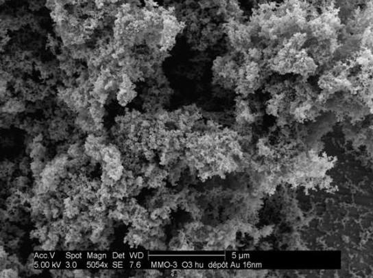 Cliché de microscopie électronique de suie