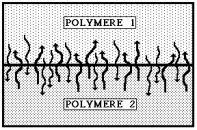 Le modèle de l'interdiffusion au travers de l'interface entre un polymère et un autre, qui peut être une colle.