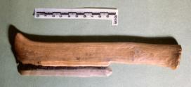 Réplique d'un couteau suisse à moissonner vieux de 5700 ans.  (Photographie : Patricia Anderson).