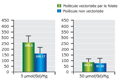 Concentration en gadolinium dans les organes (μM) quatre heures après l’injection, pour des doses injectées en agents de contraste de 3 et 30 μmol/kg. À 3 μmol/kg, le traceur vectorisé par le folate s’accumule sélectivement dans les tissus cancéreux. À 30 μmol, il n’y a plus de sélectivité.