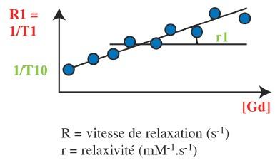 La relaxivité d’un agent de contraste est définie par la vitesse de relaxation normalisée par sa concentration.