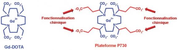 La plateforme P730, un modèle de conception rationnelle d’un contrastophore au gadolinium à haute efficacité. Elle présente quatre bras qui fournissent quatre positions possibles de fonctionnalisation chimique.