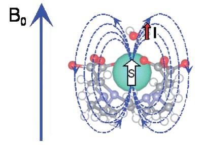 La plateforme P730, du fait de sa symétrie et sa rigidité structurales, devrait posséder une relaxivité importante en présence d’un champ magnétique B0.
