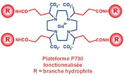 La plateforme P730 tétrasubstituée. Une grande diversité de branches R peut être greffée aux quatre bras glutariques pour générer autant de nouveaux contrastophores.