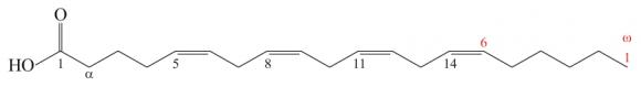 Formule plane de l'acide arachidonique.