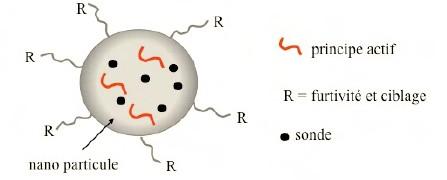 En nanomédecine, les nanoparticules hybrides peuvent servir de vecteurs pour transporter des sondes ou des principes actifs au sein même des tumeurs cancéreuses.