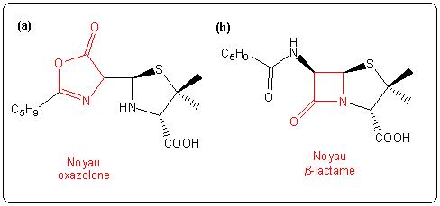 Structures proposées pour la pénicilline par Robinson (a) et Chain et Abraham (b).