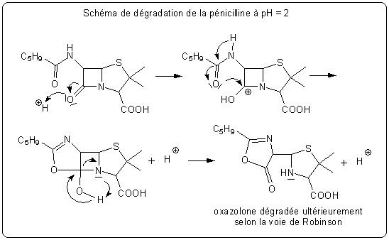 Schéma de dégradation de la pénicilline en milieu acide.