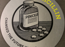 Illustration sur la pénicilline, découverte en 1928