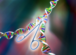 Ilustration de CRISPR-Cas 9, outil d'édition du génome, analogue à une paire de ciseaux moléculaires