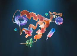 Illustration du repliement d'une protéine