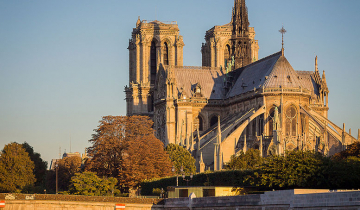 Cathédrale Notre Dame, à Paris, vue de la rive gauche à l'arrière