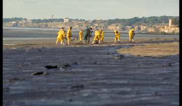 Photo du nettoyage des plages de la Bernerie-en-Retz après la marée noire de l'Erika