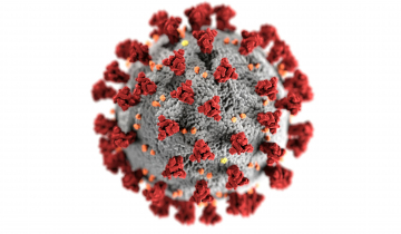Représentation shématique du coronavirus