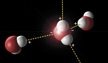Liaisons hydrogène entre molécules d'eau