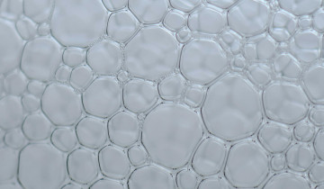 Photo d'une mousse de savon