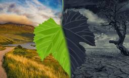 Illustration du changement climatique