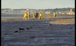 Photo du nettoyage des plages de la Bernerie-en-Retz après la marée noire de l'Erika
