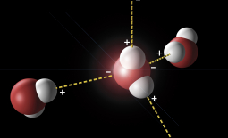 Liaisons hydrogène entre molécules d'eau