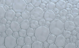 Photo d'une mousse de savon