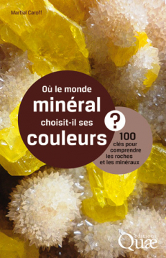 Couverture de l'ouvrage "Où le monde minéral choisit-il ses couleurs?"