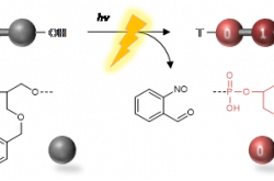Représentation schématique d’un message moléculaire secret révélé par la lumière