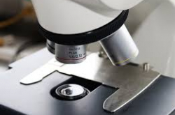 Photo d'un microscope