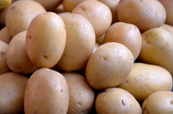 Pommes de terre