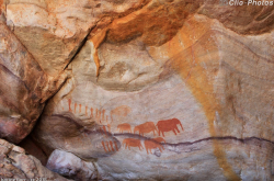 Peintures rupestres du peuple San