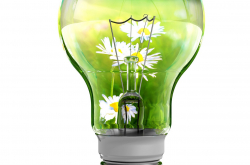 Illustration de la bioélectrochimie