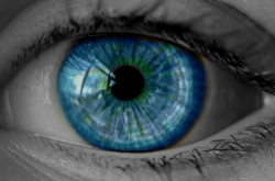 Oeil