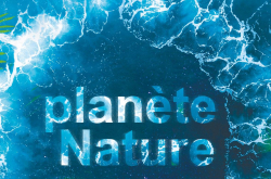 Planete nature