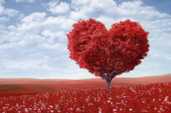 Arbre en fleurs en forme de coeur
