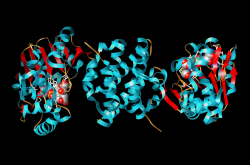 Enzyme hydrogénase issue de l'archée Methanocaldococcus jannaschii 