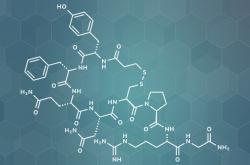 Structure de la desmopressine, peptide utilisé comme médicament contre le diabète insipide
