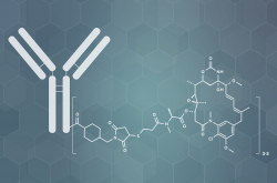 Complexe Trastuzumab-emtansine