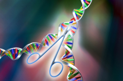 Ilustration de CRISPR-Cas 9, outil d'édition du génome, analogue à une paire de ciseaux moléculaires