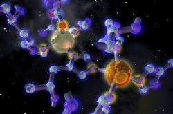 Enzyme superoxyde dismutase (SOD)