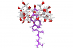Complexe béta-cyclodextrine-cholestérol