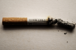 Cigarette