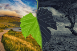 Illustration du changement climatique